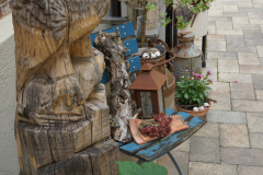 DSC05027