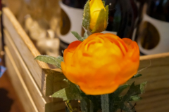 DSC05156